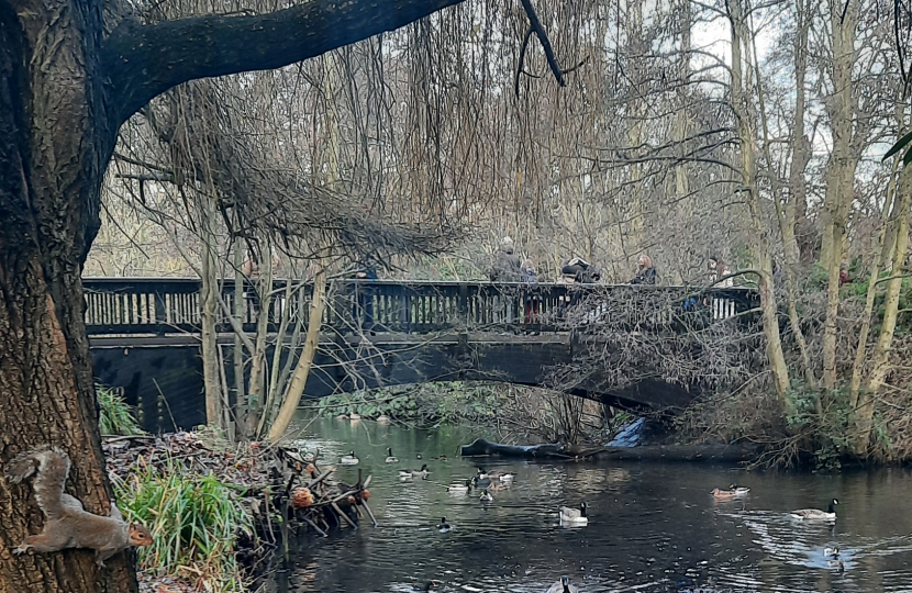 Bridge in Kelsey Park