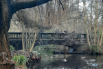 Bridge in Kelsey Park