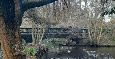 Bridge in Kelsey Park